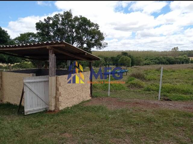 Fazenda para Venda em Paranapanema - 1