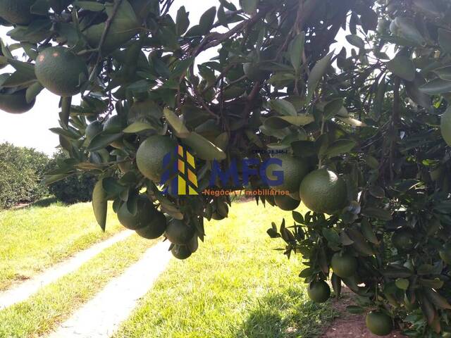 Venda em Centro - Franca