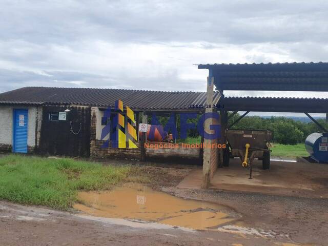 #10808 - Fazenda para Venda em Franca - SP - 3