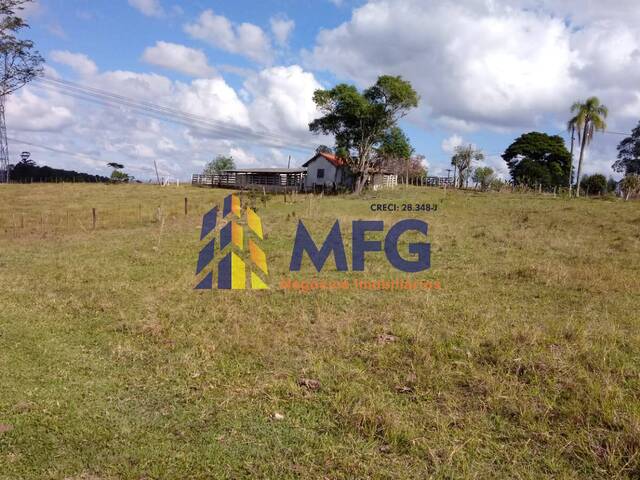 Sítio para Venda em Itapetininga - 3