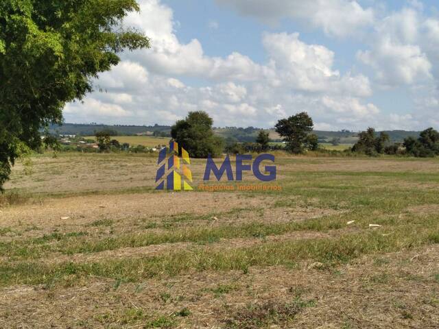 #10818 - Sítio para Venda em Quadra - SP - 3