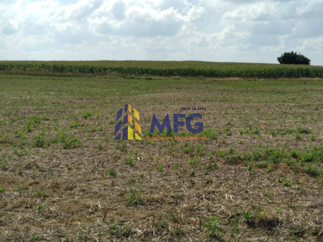 Sítio para Venda em Quadra - 5