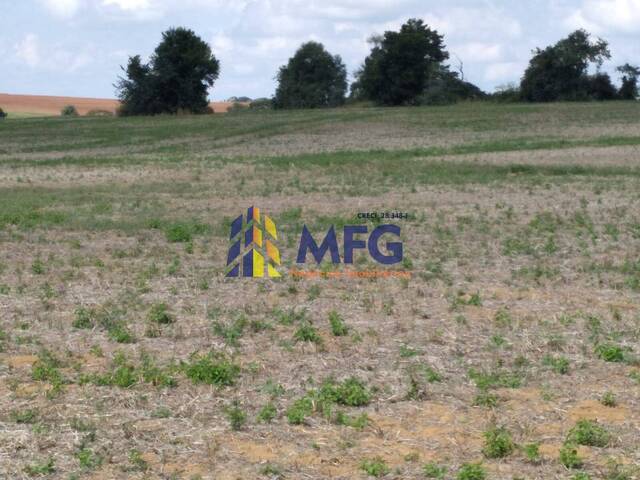 Sítio para Venda em Quadra - 4