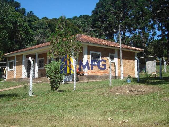 Fazenda para Venda em Barra do Chapéu - 4
