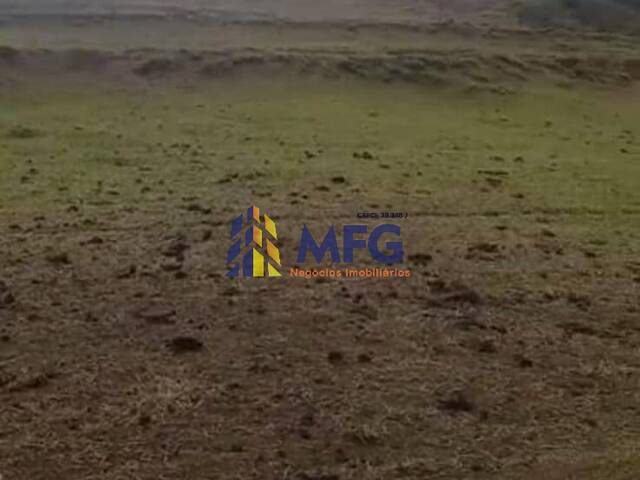 Fazenda para Venda em Echaporã - 5