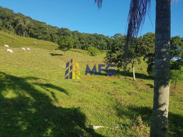 Fazenda para Venda em Iporanga - 3