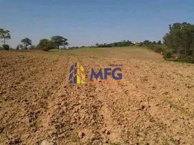 Sítio para Venda em Araçoiaba da Serra - 3