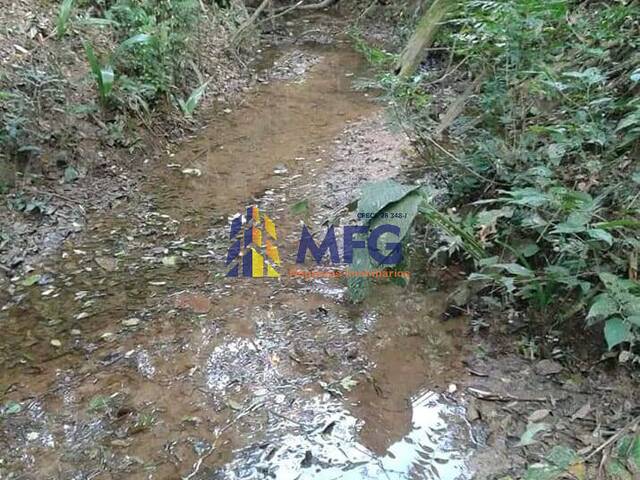 Sítio para Venda em Araçoiaba da Serra - 5