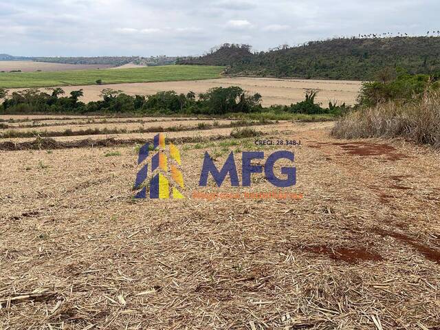 #11098 - Fazenda para Venda em São Carlos - SP - 2