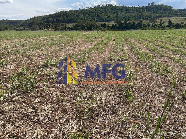 #11098 - Fazenda para Venda em São Carlos - SP - 3