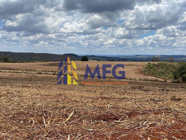 Fazenda para Venda em São Carlos - 4