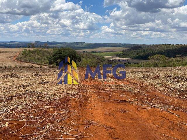 Fazenda para Venda em São Carlos - 5