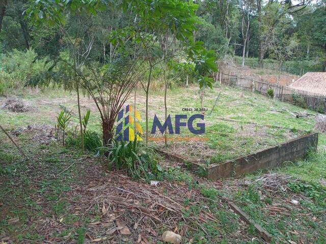 Terreno para Venda em Apiaí - 5