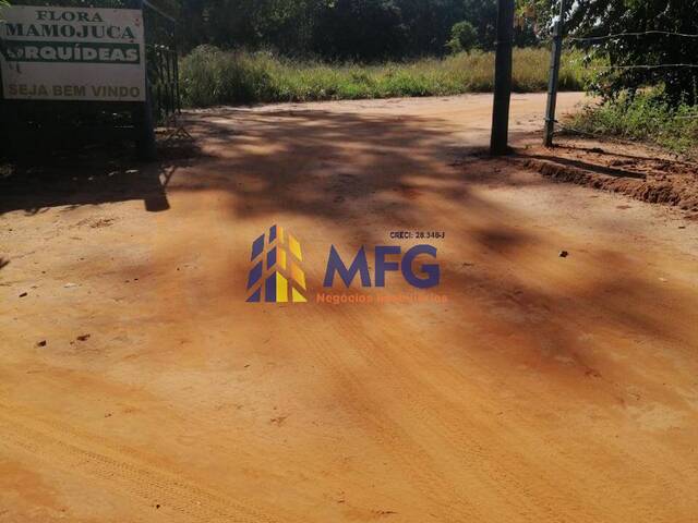 Área para Venda em Olímpia - 3