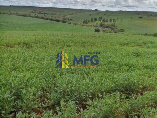 Fazenda para Venda em Itaberá - 2