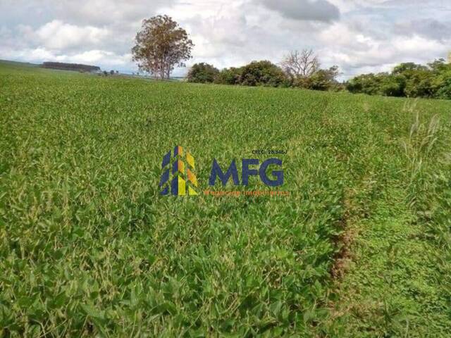 Fazenda para Venda em Itaberá - 4