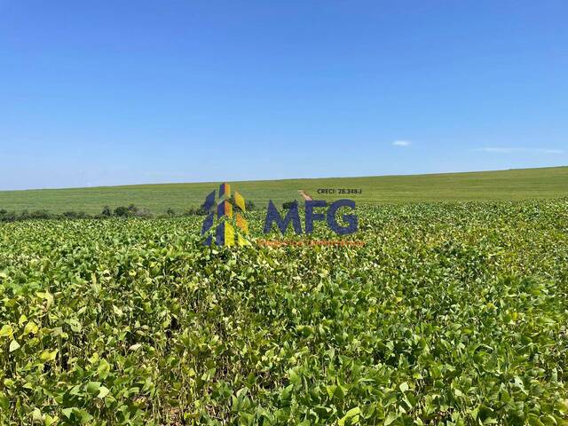 Fazenda para Venda em Holambra - 2