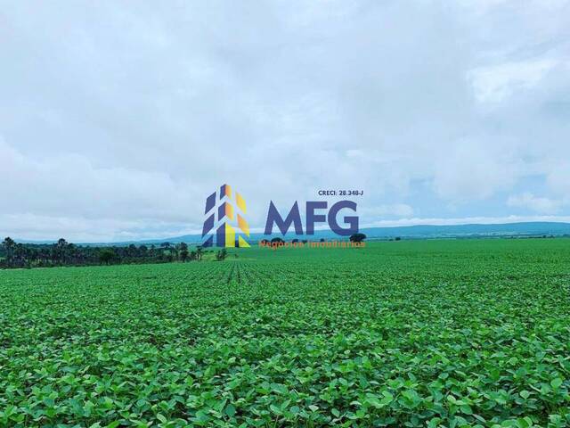 Fazenda para Venda em Holambra - 3