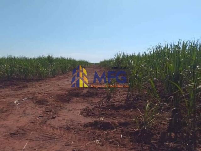 Fazenda para Venda em Holambra - 5