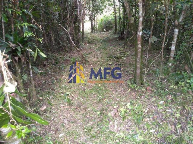 #11492 - Sítio para Venda em Barra do Turvo - SP - 3