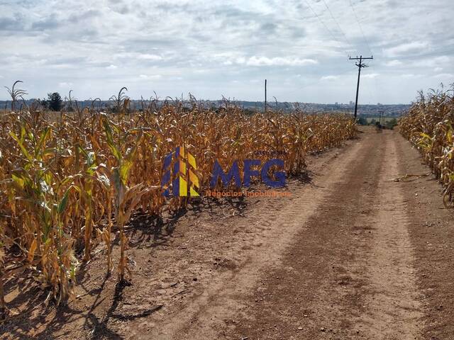 Fazenda para Venda em Tatuí - 3