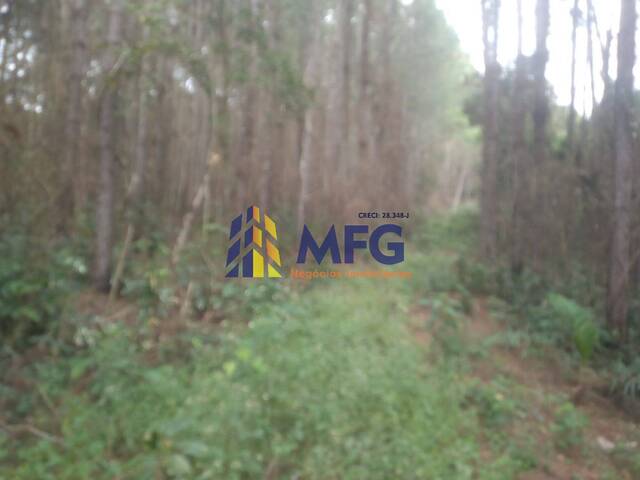 Venda em CENTRO - Eldorado