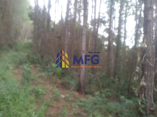 Fazenda para Venda em Eldorado - 4