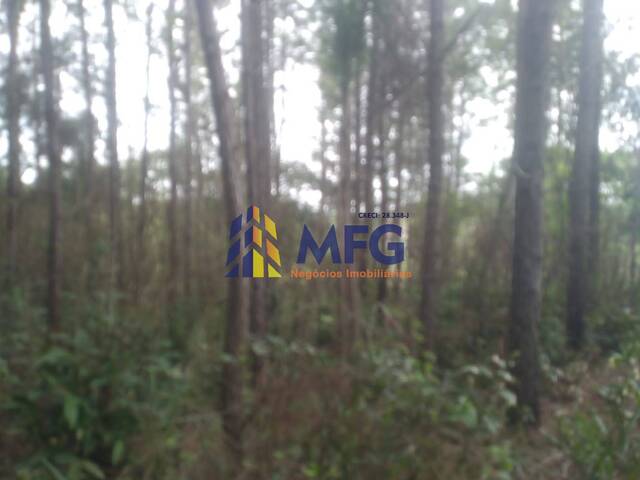 Fazenda para Venda em Eldorado - 5