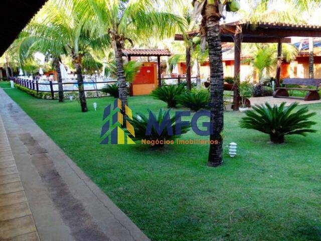 #11622 - Fazenda para Venda em Olímpia - SP - 3