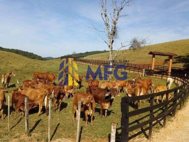 Fazenda para Venda em Registro - 4