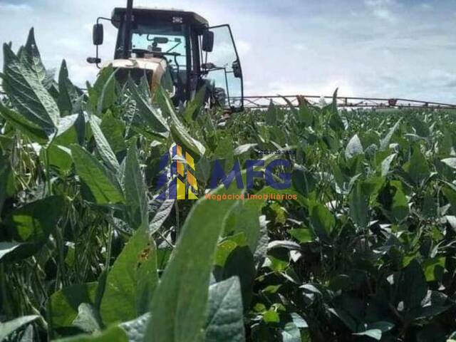 Fazenda para Venda em Echaporã - 5