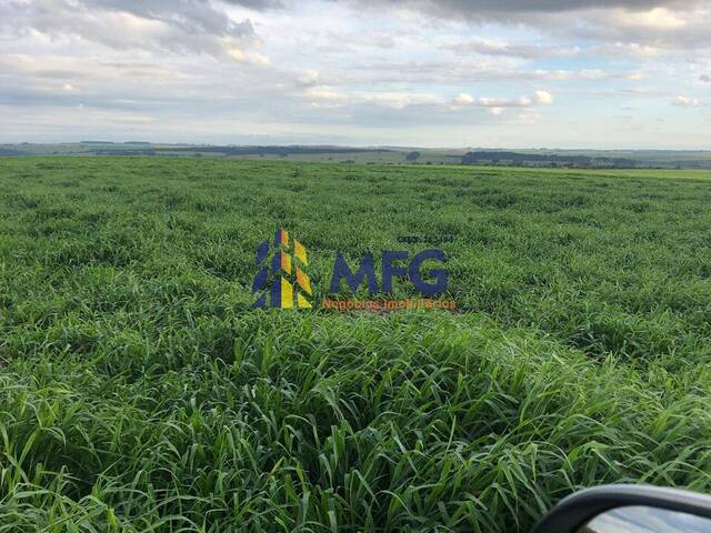 Fazenda para Venda em Pompéia - 4