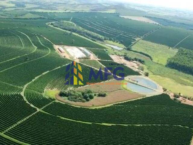 #11766 - Fazenda para Venda em Piumhi - MG - 3