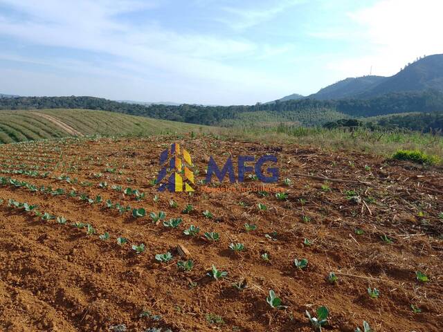 #11887 - Fazenda para Venda em Ribeirão Branco - SP - 1