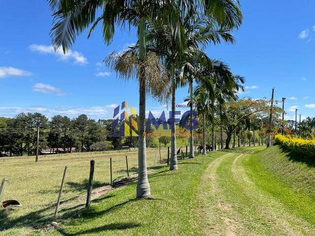 #9434 - Fazenda para Venda em Riversul - SP - 1