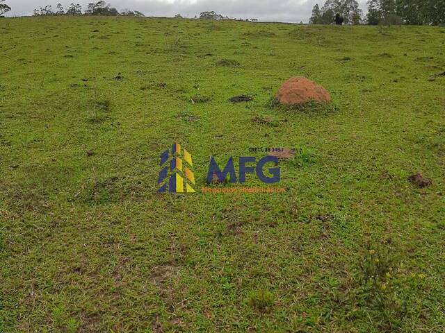 Sítio para Venda em São Miguel Arcanjo - 5