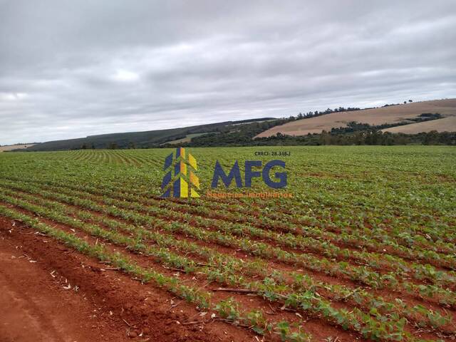 #11982 - Fazenda para Venda em Itapeva - SP - 2