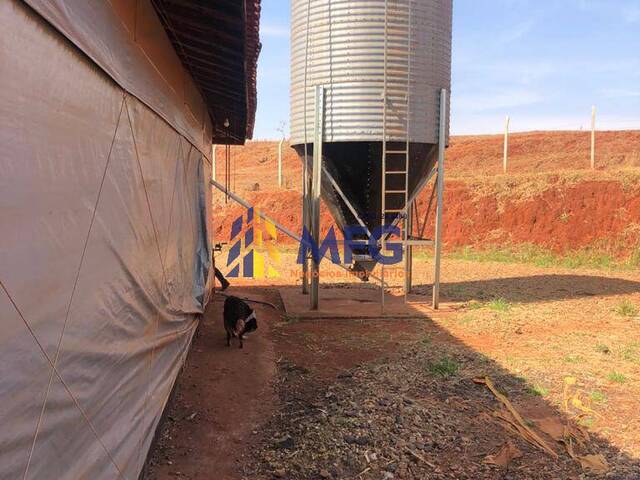 Sítio para Venda em Itapuí - 5