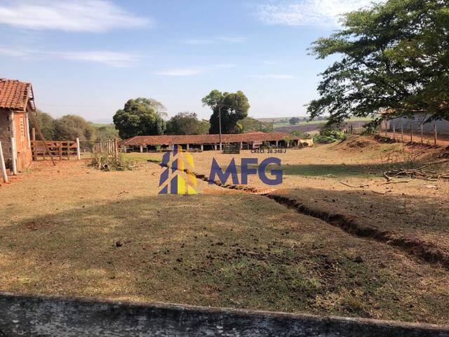 Sítio para Venda em Itapuí - 2