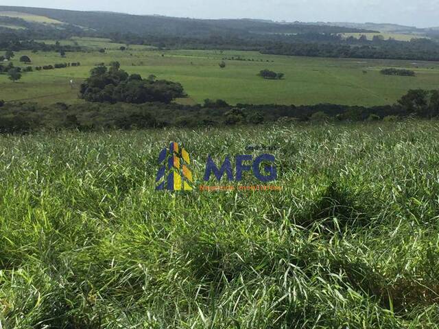 Fazenda para Venda em Santana do Itararé - 3