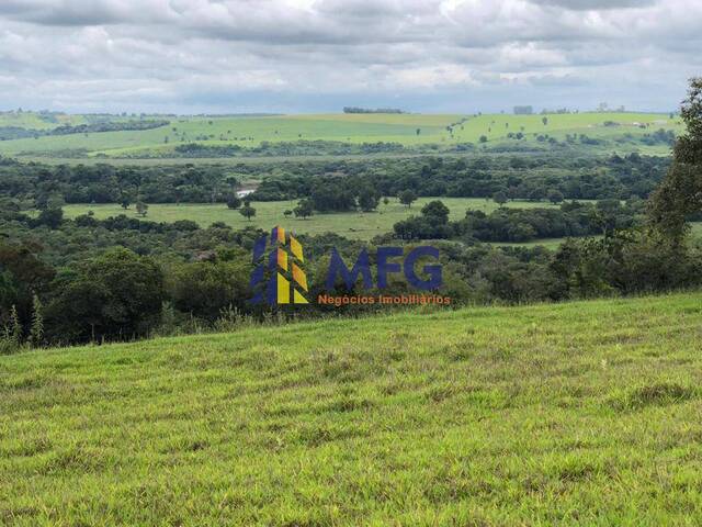 Fazenda para Venda em Santana do Itararé - 4