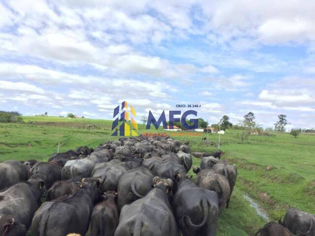 Fazenda para Venda em Santana do Itararé - 5