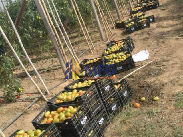 Venda em Condomínio São Miguel Arcanjo (Zona Rural) - São José do Rio Preto