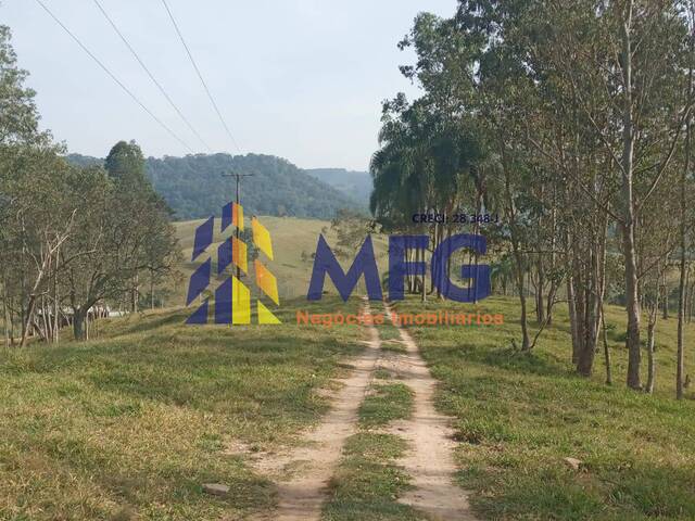 #12163 - Fazenda para Venda em Capão Bonito - SP - 2