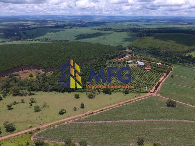 Fazenda para Venda em Manduri - 4