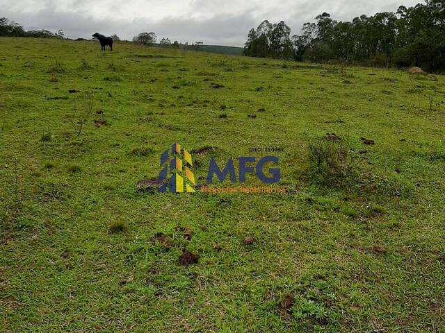 #12320 - Sítio para Venda em São Miguel Arcanjo - SP - 1