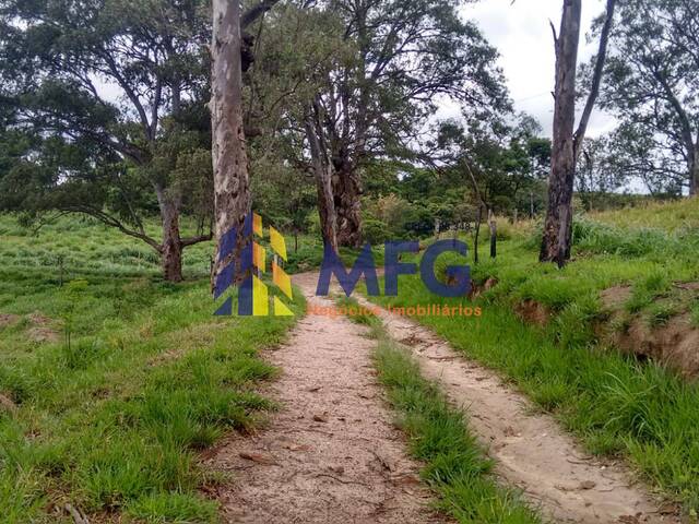 #12361 - Fazenda para Venda em Amparo - SP - 2