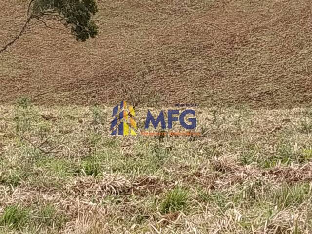 Fazenda para Venda em Amparo - 4