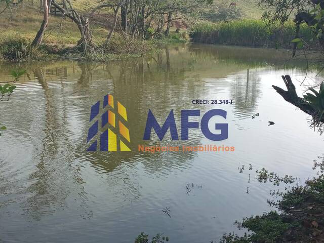 #12403 - Fazenda para Venda em Capão Bonito - SP - 3