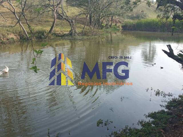 Fazenda para Venda em Capão Bonito - 5